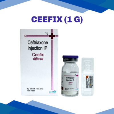 Ceefix (1 G)
