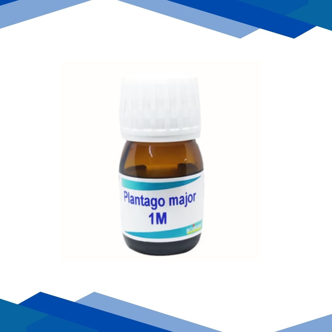 Boiron Plantago Major 1M Liquid 20 ml