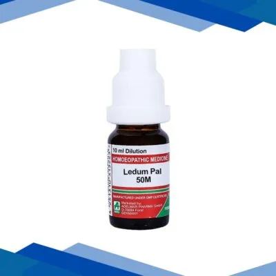 Adel Lecithinum 6 Liquid 10 ml