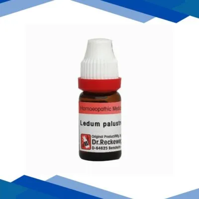 Dr. Reckeweg Ledum Palustre 200 Liquid 11 ml