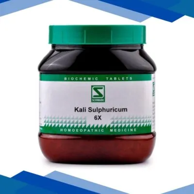 Dr. Willmar Schwabe Kali Sulphuricum 6X Tablet 550 gm
