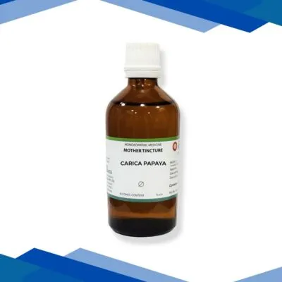 LDD Bioscience Mother Tincture Carica Papaya Q Liquid 100 ml